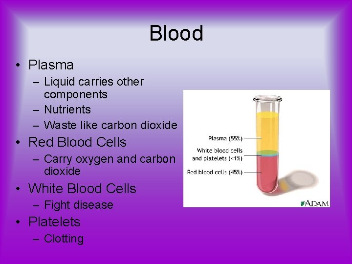 Blood • Plasma – Liquid carries other components – Nutrients – Waste like carbon