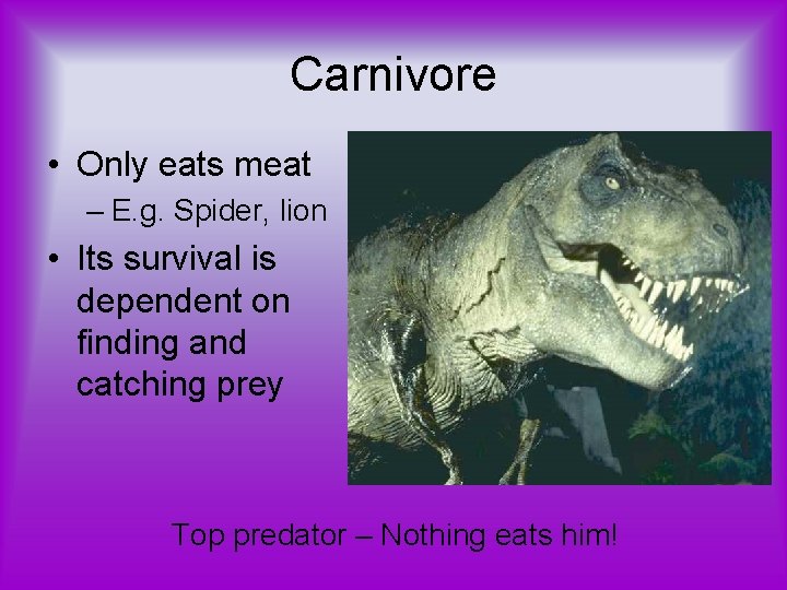 Carnivore • Only eats meat – E. g. Spider, lion • Its survival is