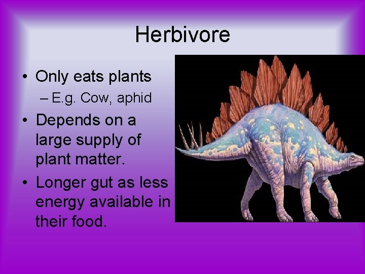 Herbivore • Only eats plants – E. g. Cow, aphid • Depends on a