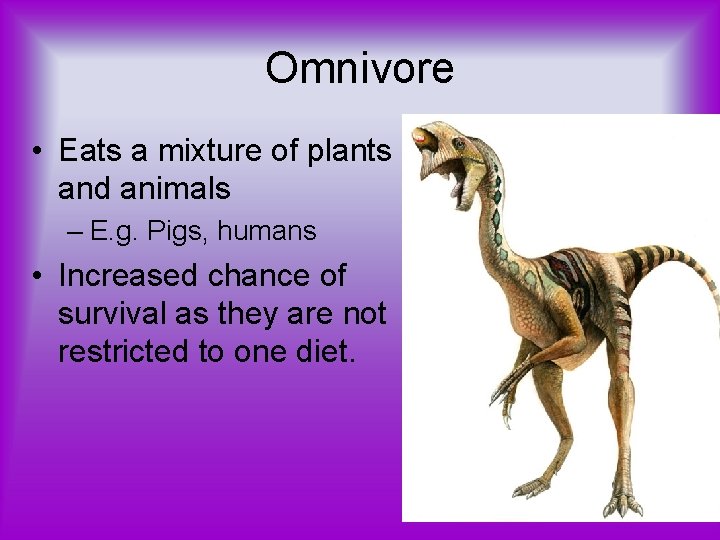 Omnivore • Eats a mixture of plants and animals – E. g. Pigs, humans