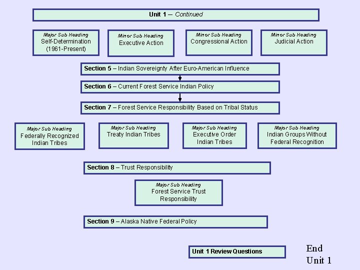 Unit 1 –- Continued Major Sub Heading Self-Determination (1961 -Present) Minor Sub Heading Executive