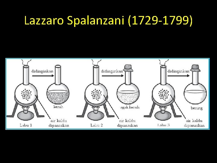 Lazzaro Spalanzani (1729 -1799) 