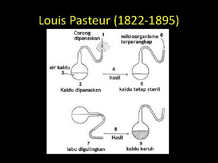 Louis Pasteur (1822 -1895) 
