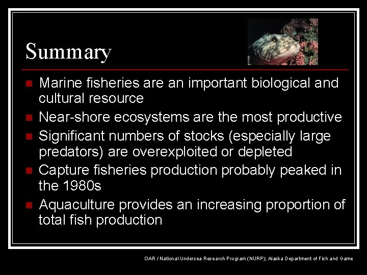 Summary n n n Marine fisheries are an important biological and cultural resource Near-shore