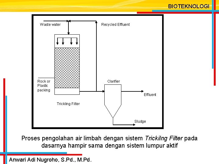 BIOTEKNOLOGI Waste water Rock or Plastic packing Recycled Effluent Clarifier Effluent Trickling Filter Sludge