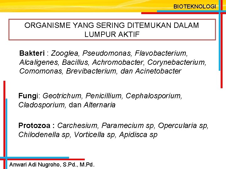 BIOTEKNOLOGI ORGANISME YANG SERING DITEMUKAN DALAM LUMPUR AKTIF Bakteri : Zooglea, Pseudomonas, Flavobacterium, Alcaligenes,