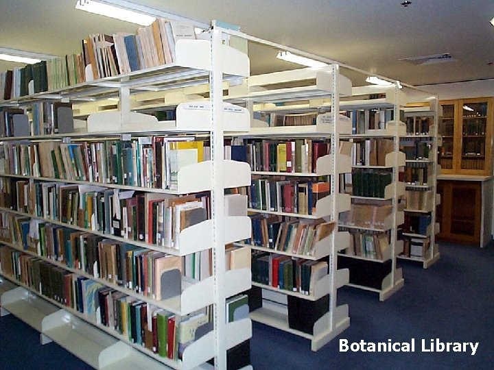 Botanical Library 