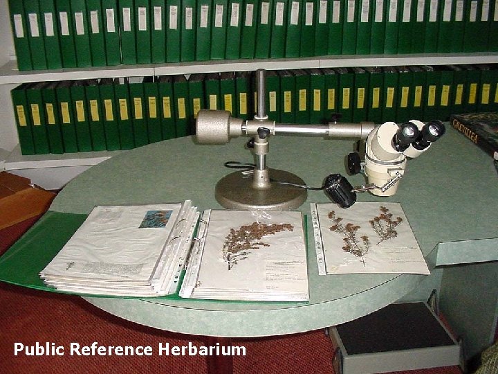 Public Reference Herbarium 