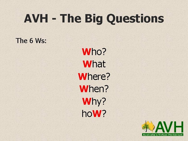 AVH - The Big Questions The 6 Ws: Who? What Where? When? Why? ho.