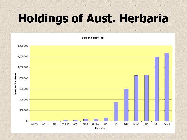 Holdings of Aust. Herbaria 