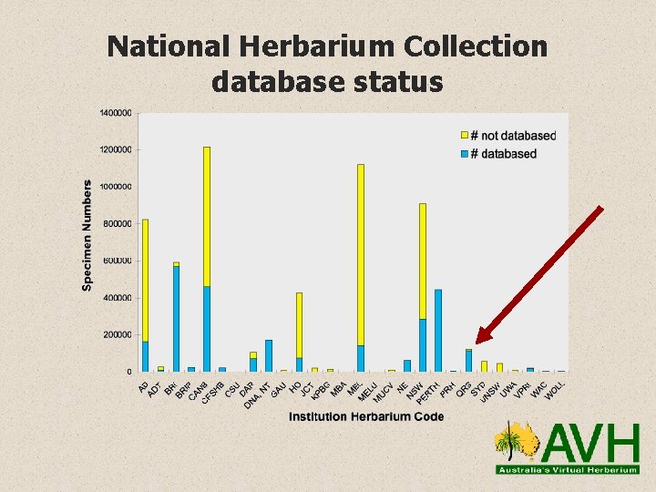 National Herbarium Collection database status 