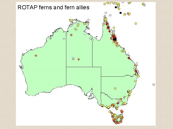 ROTAP ferns and fern allies 