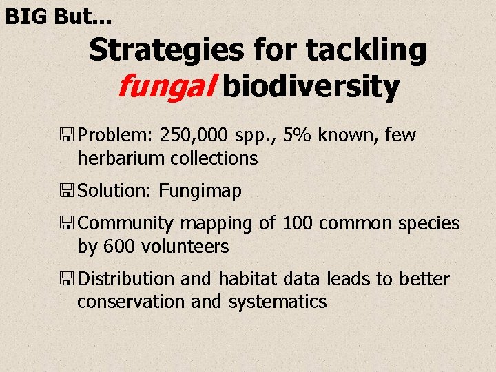 BIG But. . . Strategies for tackling fungal biodiversity < Problem: 250, 000 spp.