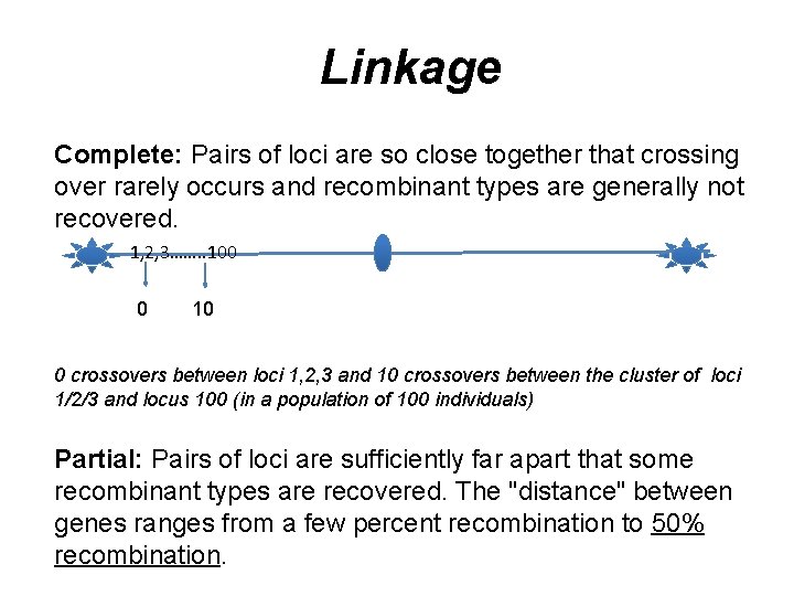 Linkage Complete: Pairs of loci are so close together that crossing over rarely occurs