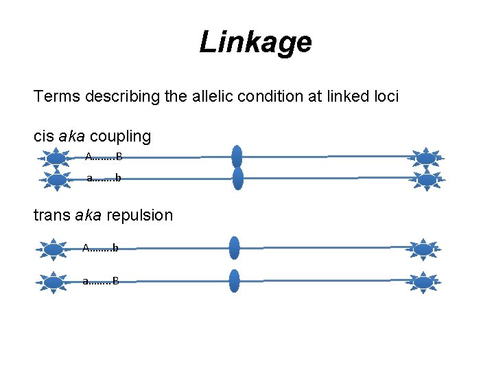 Linkage Terms describing the allelic condition at linked loci cis aka coupling A……. .