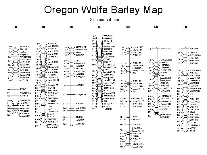 Oregon Wolfe Barley Map 187 classical loci 