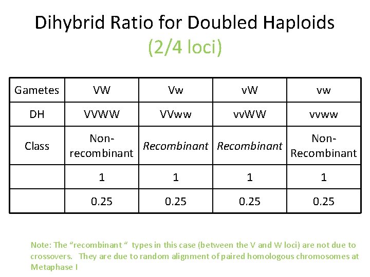 Dihybrid Ratio for Doubled Haploids (2/4 loci) Gametes VW Vw v. W vw DH