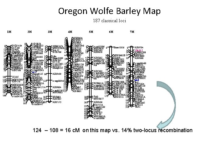 Oregon Wolfe Barley Map 187 classical loci 1 H 0 7 12 17 22