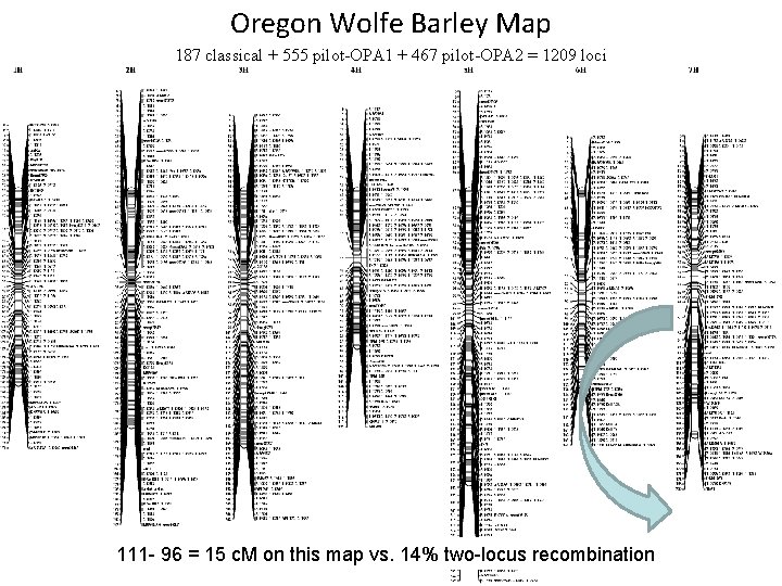 Oregon Wolfe Barley Map 187 classical + 555 pilot-OPA 1 + 467 pilot-OPA 2