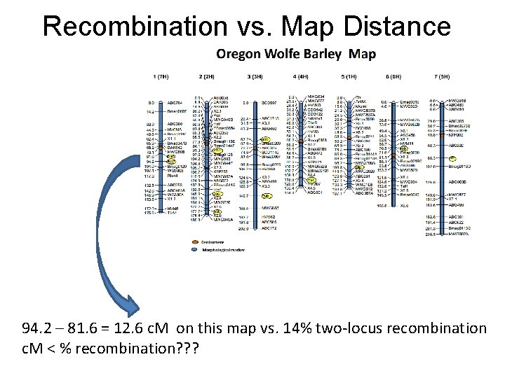 Recombination vs. Map Distance 94. 2 – 81. 6 = 12. 6 c. M