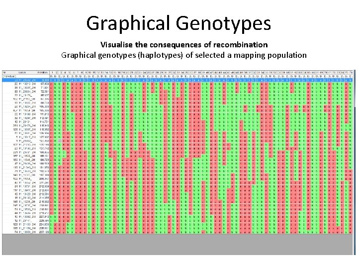 Graphical Genotypes Visualise the consequences of recombination Graphical genotypes (haplotypes) of selected a mapping