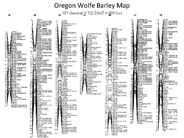 Oregon Wolfe Barley Map 187 classical + 722 DAr. T = 909 loci 