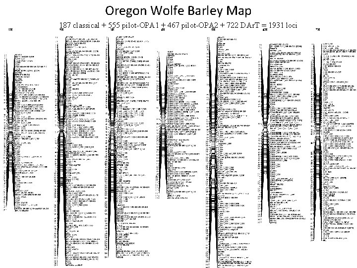 Oregon Wolfe Barley Map 187 classical + 555 pilot-OPA 1 + 467 pilot-OPA 2