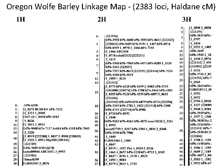 Oregon Wolfe Barley Linkage Map - (2383 loci, Haldane c. M) 
