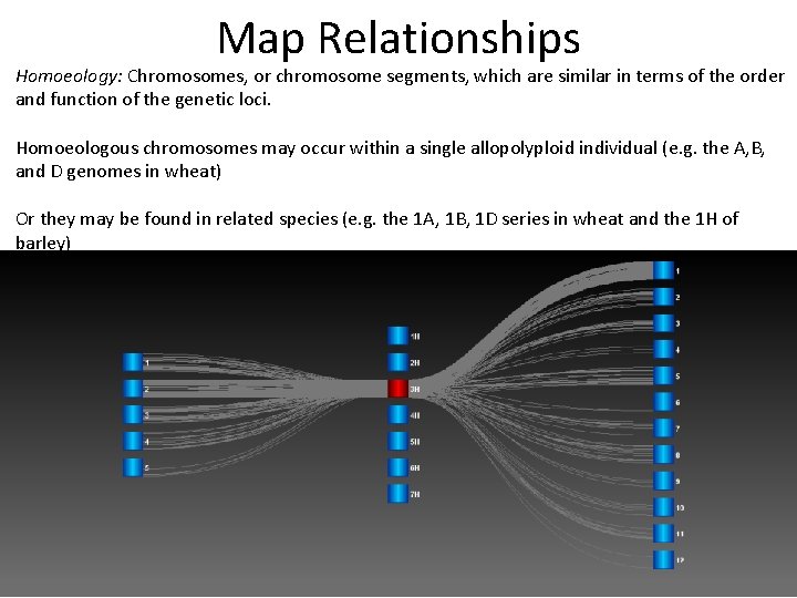 Map Relationships Homoeology: Chromosomes, or chromosome segments, which are similar in terms of the