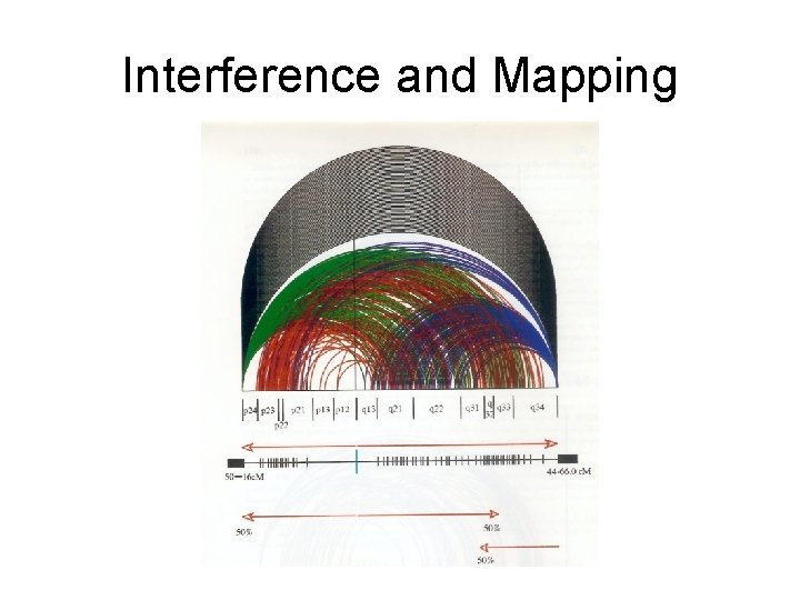 Interference and Mapping 