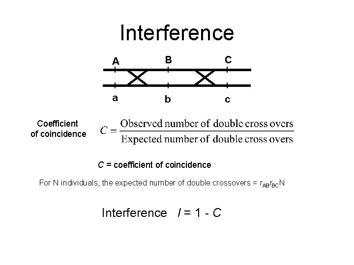 Interference A B C a b c Coefficient of coincidence C = coefficient of