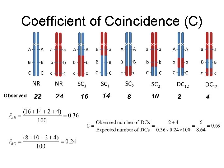 Coefficient of Coincidence (C) Observed 22 24 16 14 8 10 2 4 