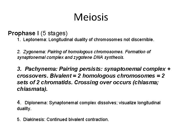 Meiosis Prophase I (5 stages) 1. Leptonema: Longitudinal duality of chromosomes not discernible. 2.