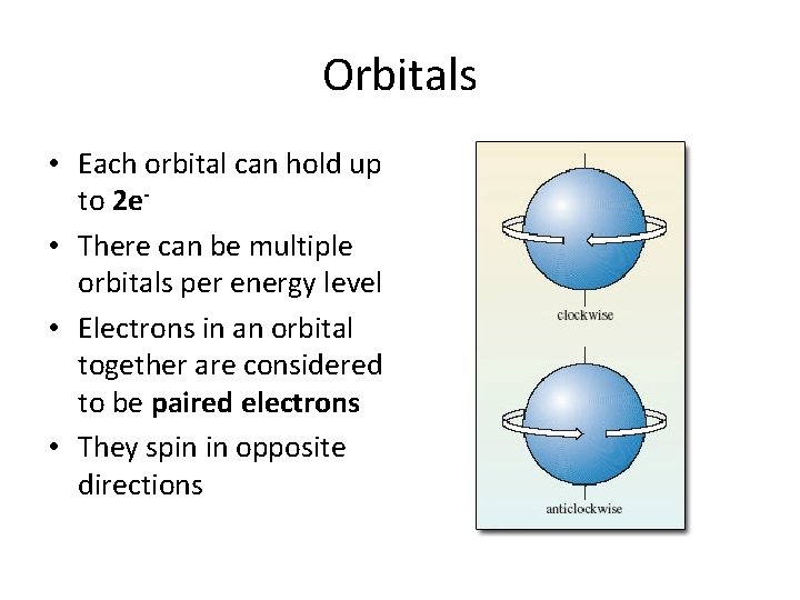 Orbitals • Each orbital can hold up to 2 e • There can be