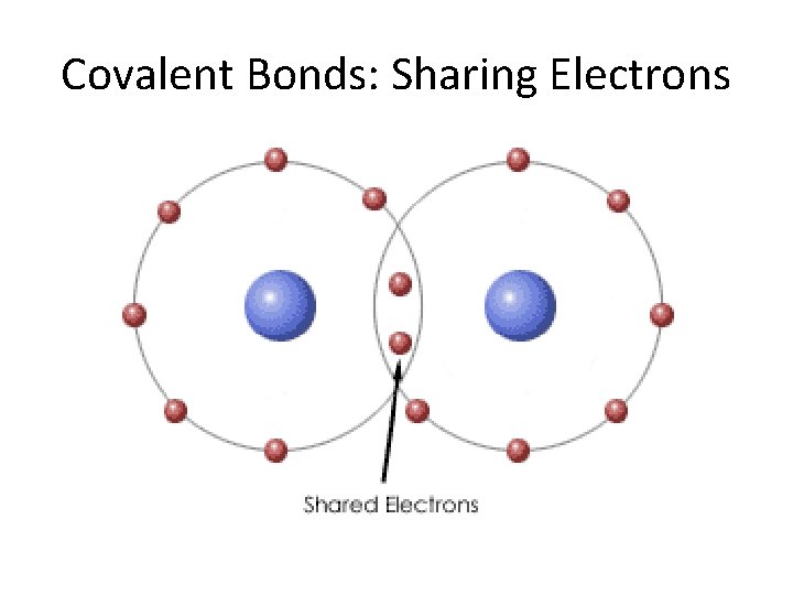 Covalent Bonds: Sharing Electrons 