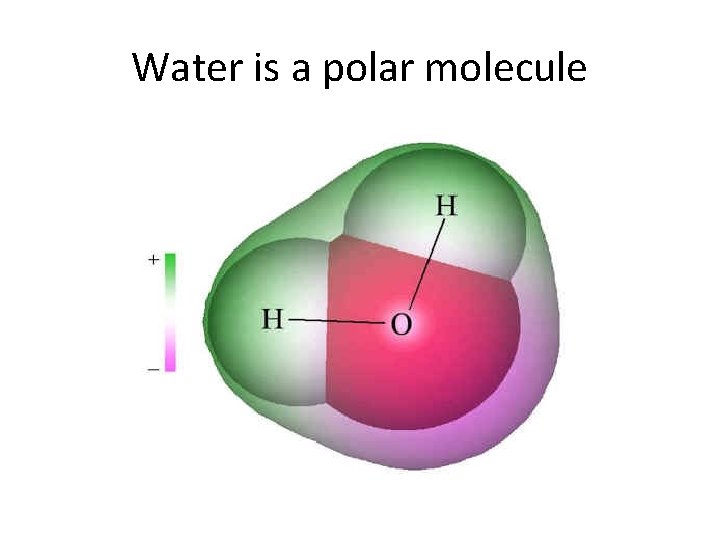 Water is a polar molecule 