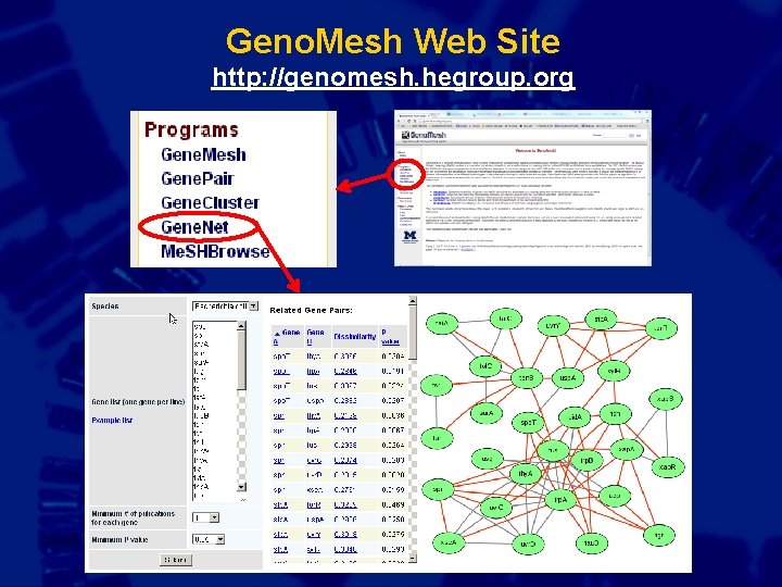 Geno. Mesh Web Site http: //genomesh. hegroup. org 