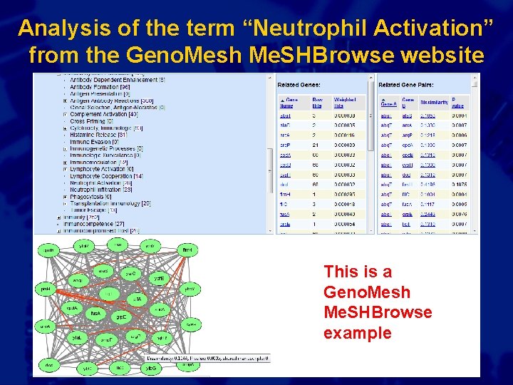 Analysis of the term “Neutrophil Activation” from the Geno. Mesh Me. SHBrowse website This