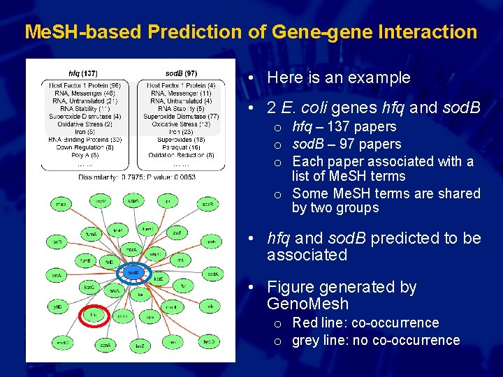 Me. SH-based Prediction of Gene-gene Interaction • Here is an example • 2 E.
