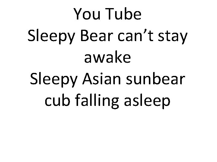 You Tube Sleepy Bear can’t stay awake Sleepy Asian sunbear cub falling asleep 