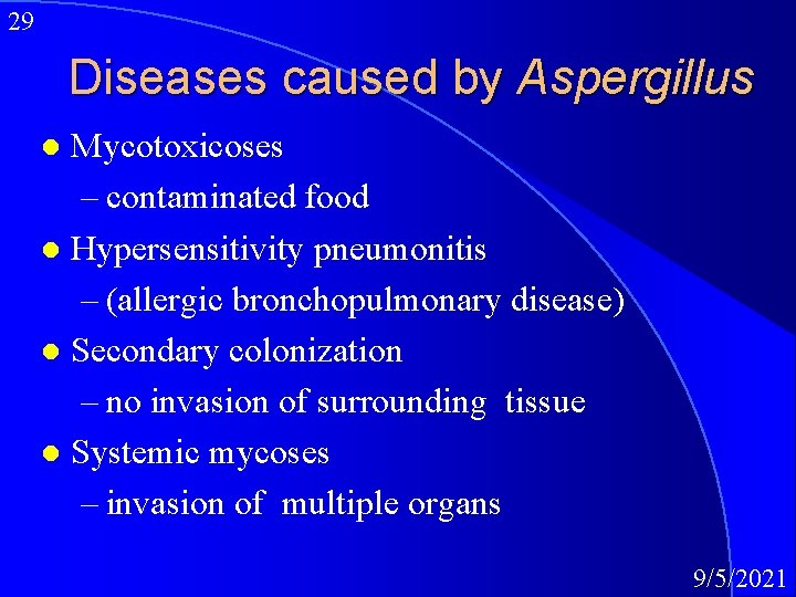 29 Diseases caused by Aspergillus Mycotoxicoses – contaminated food l Hypersensitivity pneumonitis – (allergic