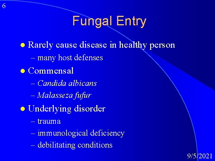 6 Fungal Entry l Rarely cause disease in healthy person – many host defenses