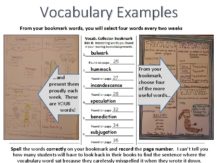 Vocabulary Examples From your bookmark words, you will select four words every two weeks