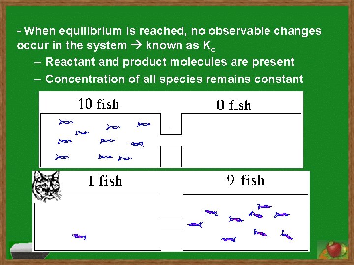 - When equilibrium is reached, no observable changes occur in the system known as