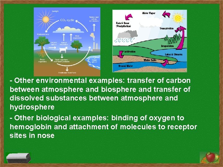 - Other environmental examples: transfer of carbon between atmosphere and biosphere and transfer of