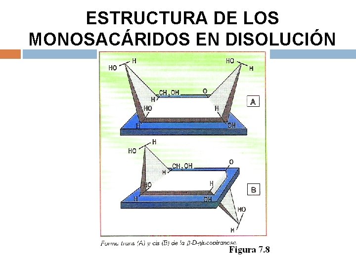 ESTRUCTURA DE LOS MONOSACÁRIDOS EN DISOLUCIÓN 