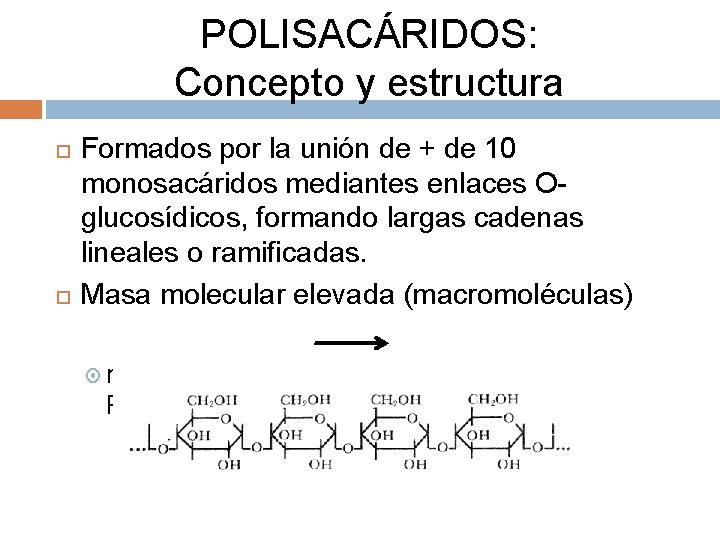 POLISACÁRIDOS: Concepto y estructura Formados por la unión de + de 10 monosacáridos mediantes