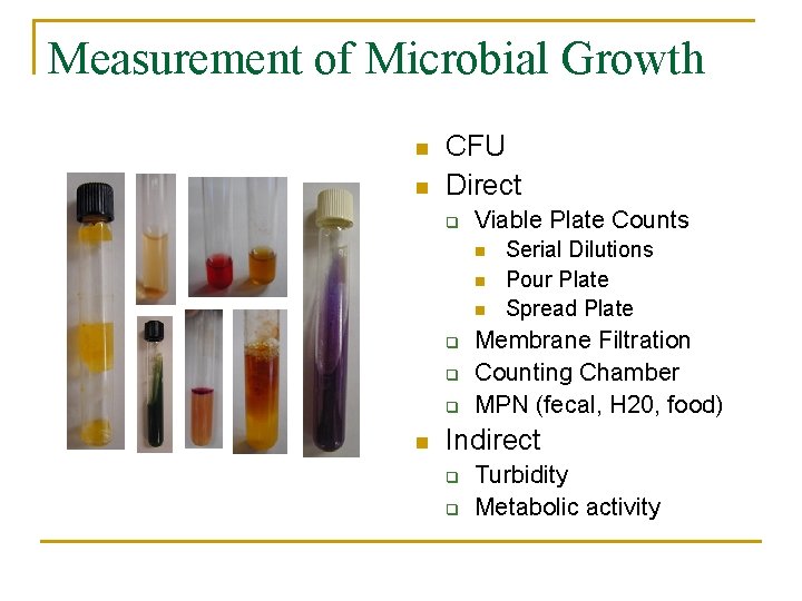 Measurement of Microbial Growth n n CFU Direct q Viable Plate Counts n n