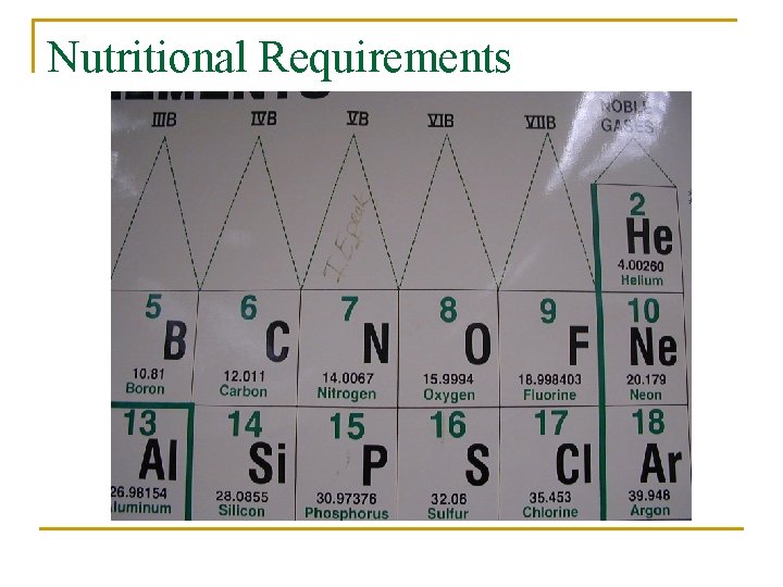 Nutritional Requirements 