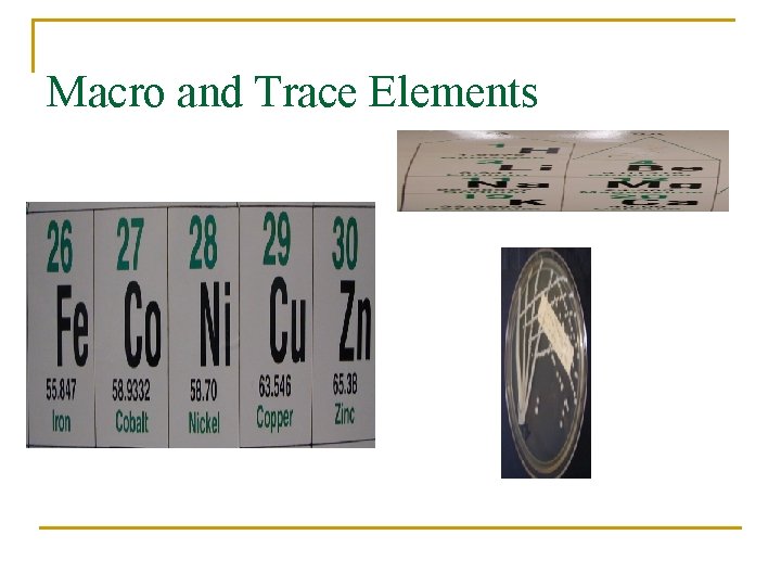 Macro and Trace Elements 